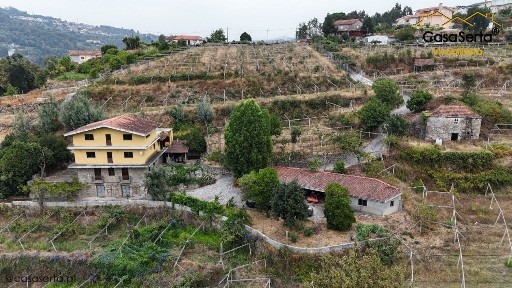 Quinta à venda na Rua de Oliveira Reguengo s/n