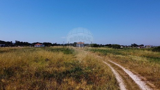 Quinta à venda em Almeirim