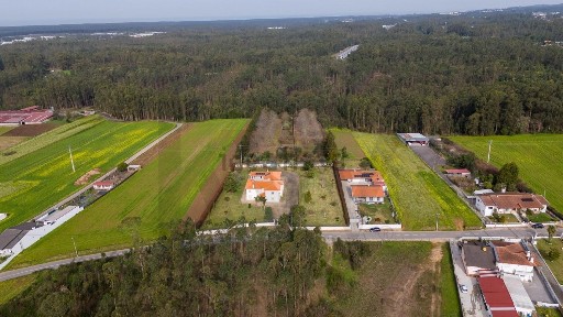 Quinta à venda em São João