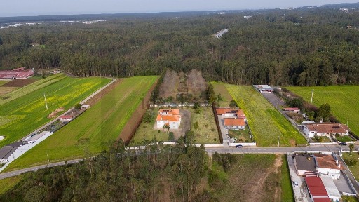 Quinta à venda em São João