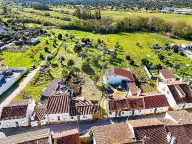 Bemposta, Rua Combatentes da Grande Guerra