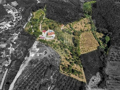 Quinta à venda em São Sebastião
