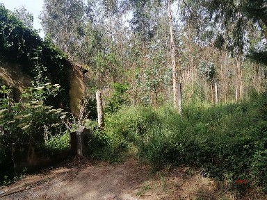 Moradia independente à venda em São Miguel de Souto