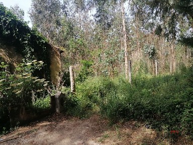 Moradia independente à venda em São Miguel de Souto