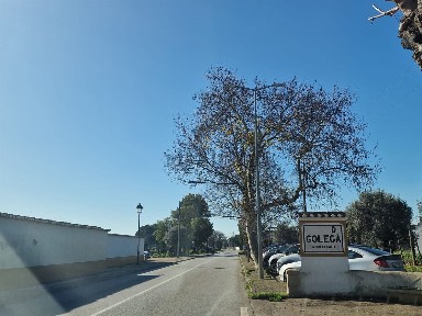 Moradia independente à venda em Golegã
