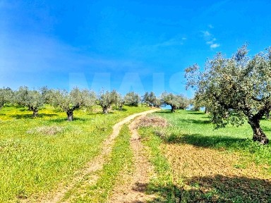 Quinta à venda em Casal Picoto