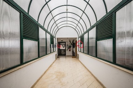 Apartamento T5 à venda em São Francisco - Estádio