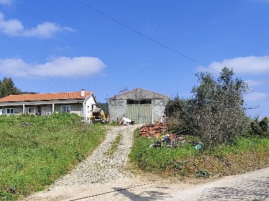 Arrifana