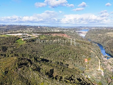 Herdade à venda em São Pedro de Tomar