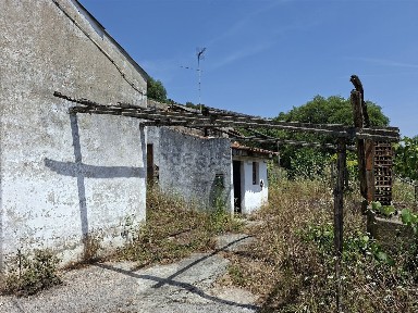 Quinta à venda em São Miguel do Rio Torto e Rossio ao Sul do Tejo