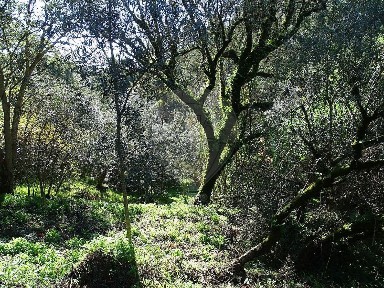 Armazém à venda na Ladeira da Porteladinha