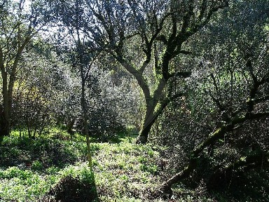 Armazém à venda na Ladeira da Porteladinha