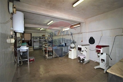 Oliveira do Hospital, Coimbra