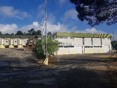 Arrendamento de armazém em Lousa