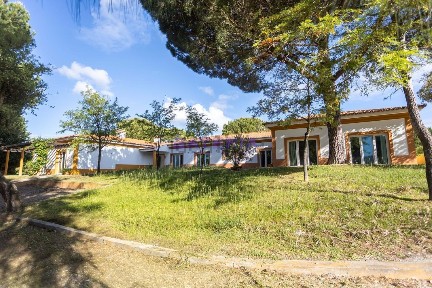 Quinta à venda em Mata do Duque 2
