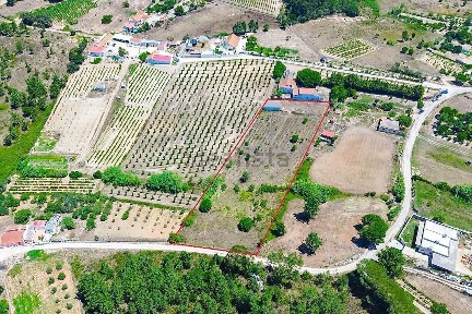 Cartaxo, Santarém