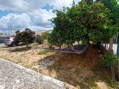 Salvaterra de Magos, Santarém