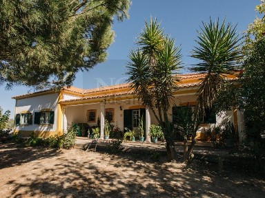 Quinta à venda em R. Malhada Alta, 23