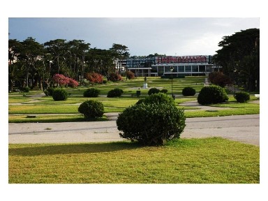 Arrendamento de espaço comercial no Centro do Estoril
