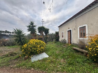 Nossa Senhora da Piedade, Estrada Principal