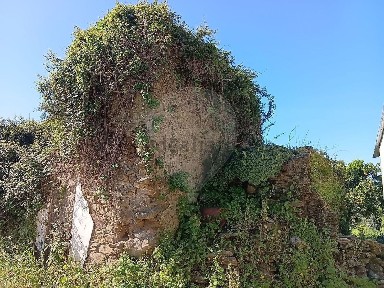 Quinta à venda em Casal da Neta