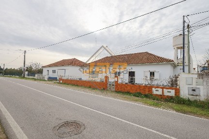Póvoa da Isenta, N365