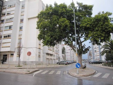 Arrendamento de armazém na Avenida Carolina Michaelis s/n