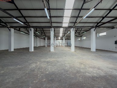 Arrendamento de armazém na Rua Pereira Henriques