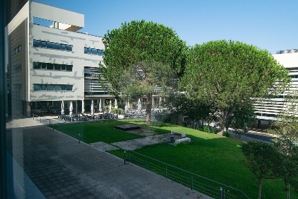Arrendamento de espaço comercial na Avenida Professor Doutor Cavaco Silva