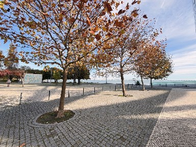 Arrendamento de espaço comercial na Avenida Boa Esperança