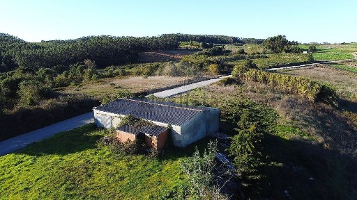 Arrendamento de armazém em Lourinhã