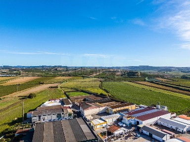 Negócio para trespasse em Torres Vedras e Matacães