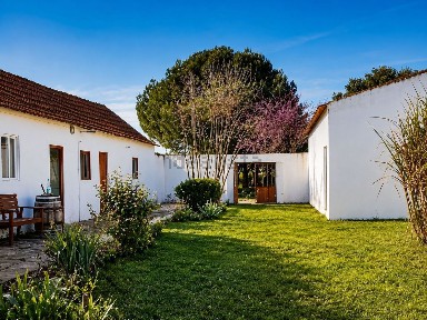 Arrendamento de quinta em Carlos Cabete, 2965-218 Poceirão s/n
