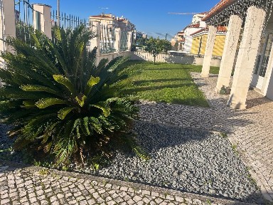 Arrendamento de andar de moradia nas Caldas da Rainha (Nossa Senhora do Pópulo)