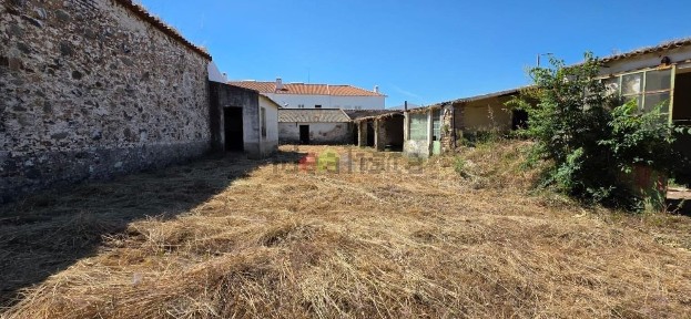 Beja