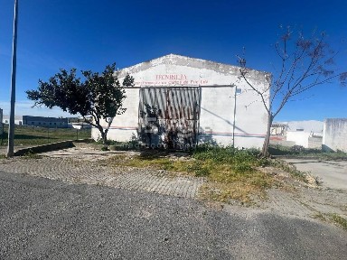 Beja