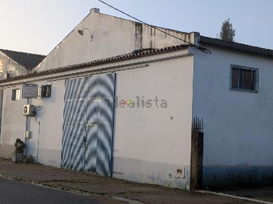 Beja