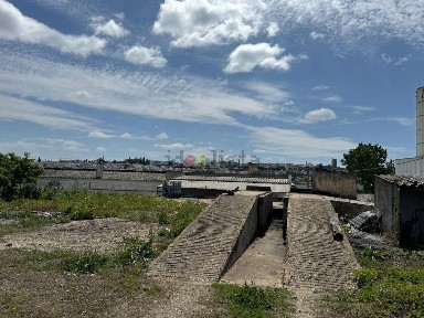Beja