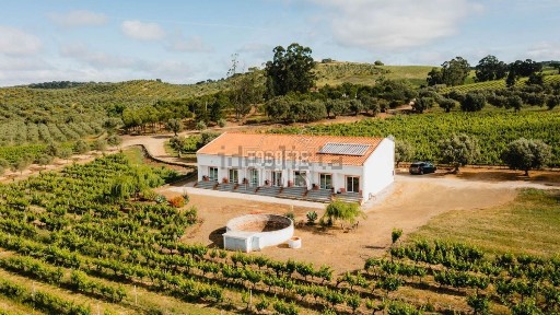 Vidigueira, Beja