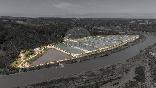 Odemira, Beja