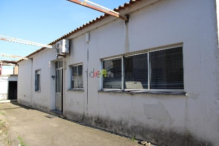 Beja