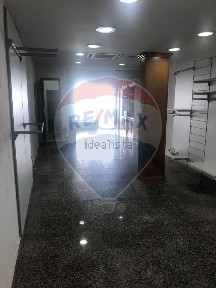 Beja