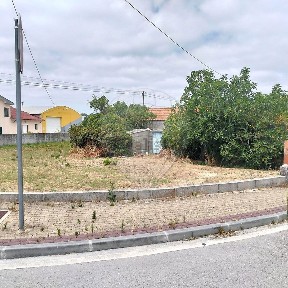 Ferreira-a-Nova, Rua José Leço
