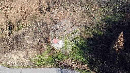 Vila Cova de Alva e Anceriz, Rua Bacharel Joaquim Gouveia Pinto