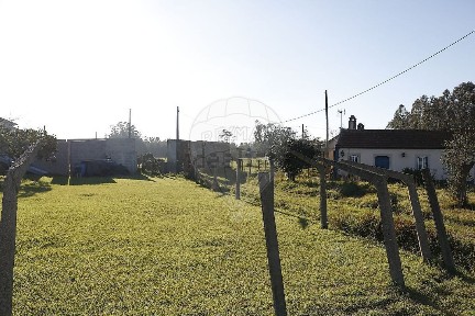 Arazede, Rua da Lagoa Cova