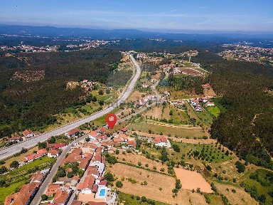 São Martinho da Cortiça, Rua Principal