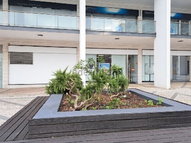 Espaço comercial com rentabilidade à venda na Rua de Ourém