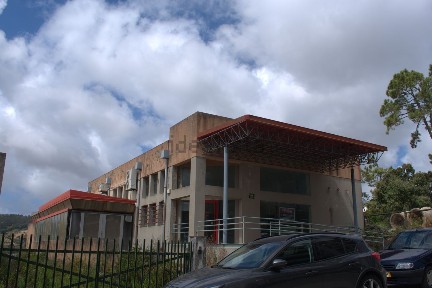 Alcobaça e Vestiaria, Rua da Liberdade