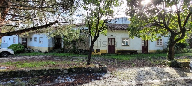 Aguda, N237