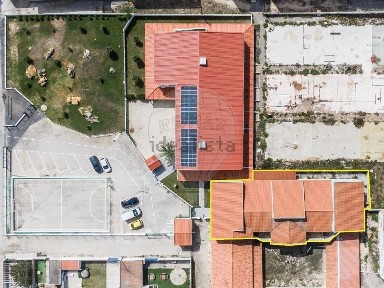 Peniche, Rua do Conhecimento